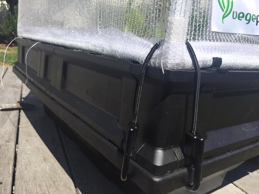 Wind Straps