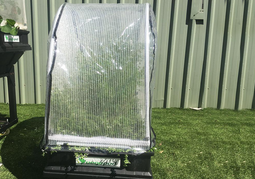 Small PolyTunnel Cover