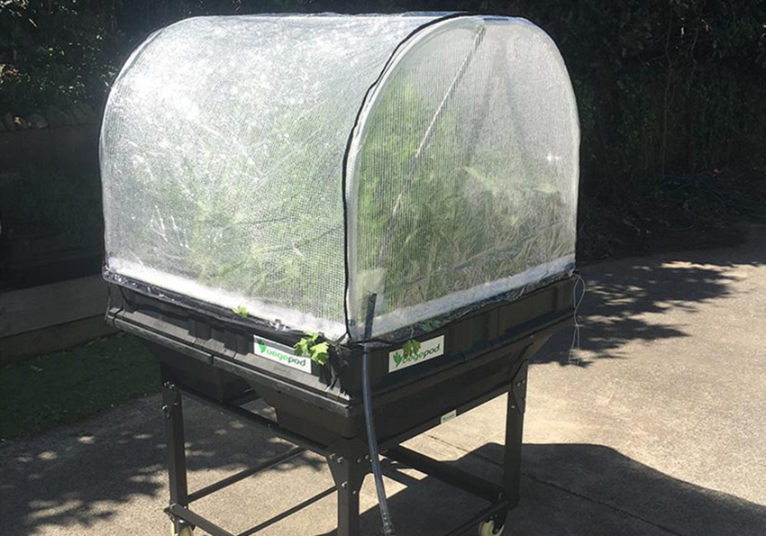 Medium PolyTunnel Cover