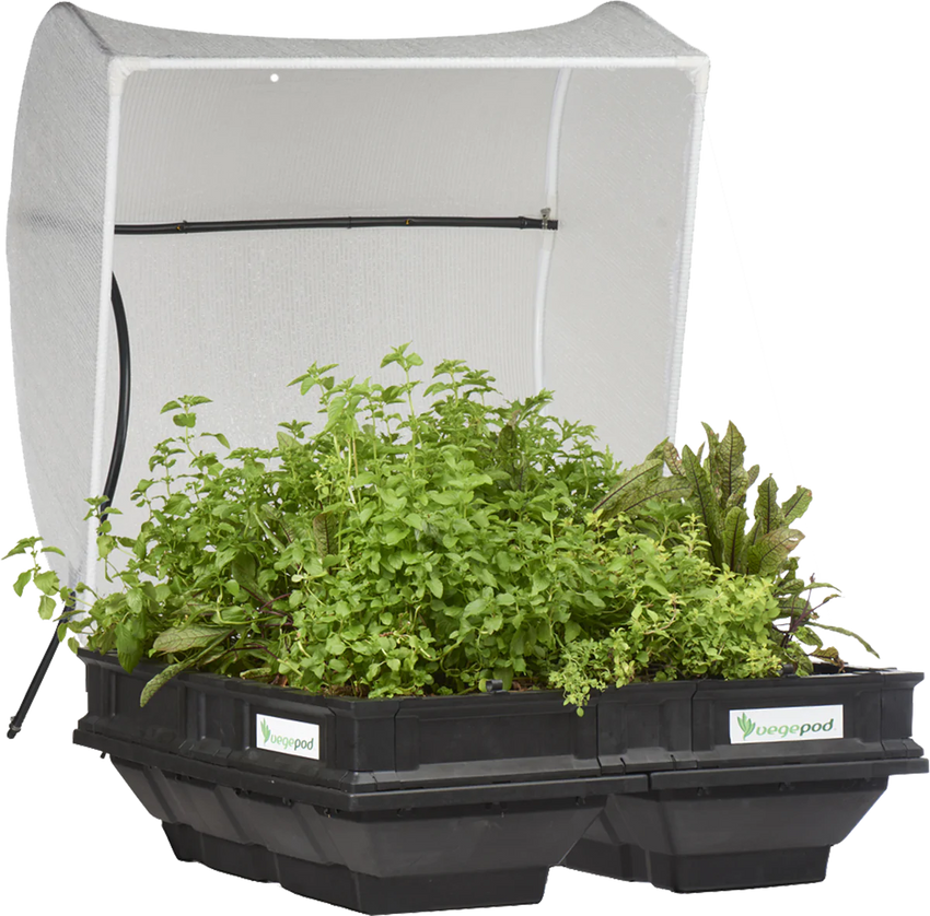 Medium Raised Garden Bed with Canopy