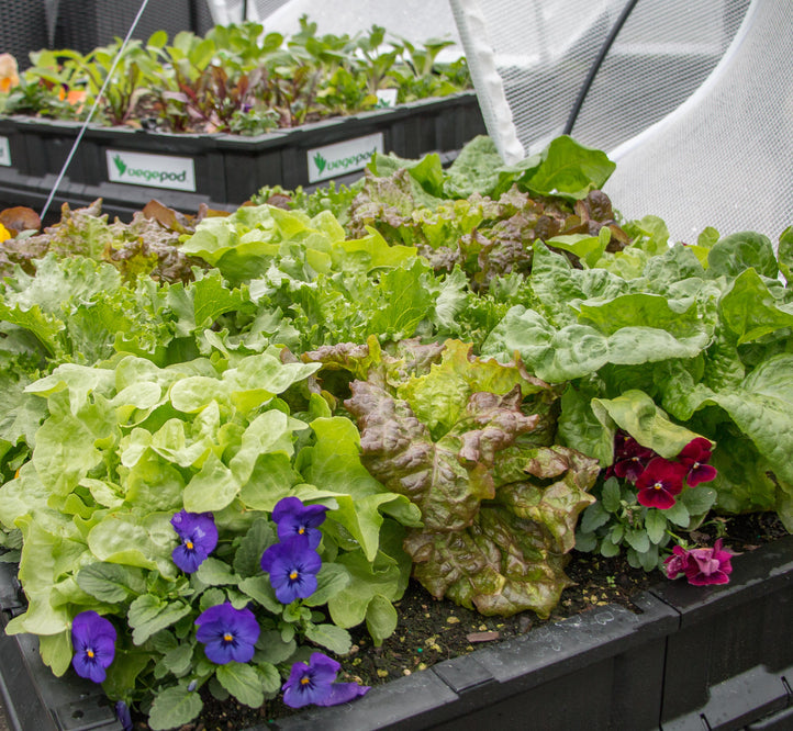 Spring News!