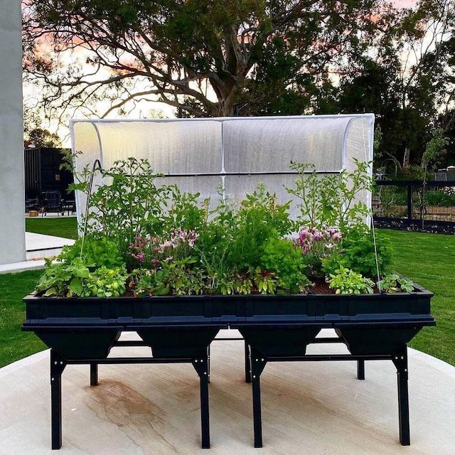 End of Summer - What To Harvest, Grow And Sow
