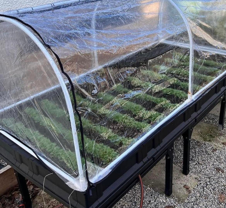 Growing in the Winter with Vegepod
