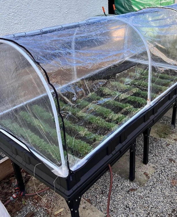 Growing in the Winter with Vegepod