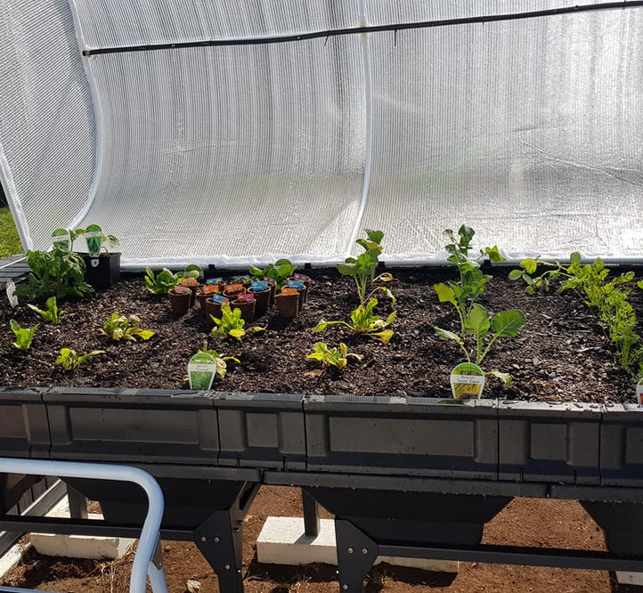 Planting your Vegepod for the First Time