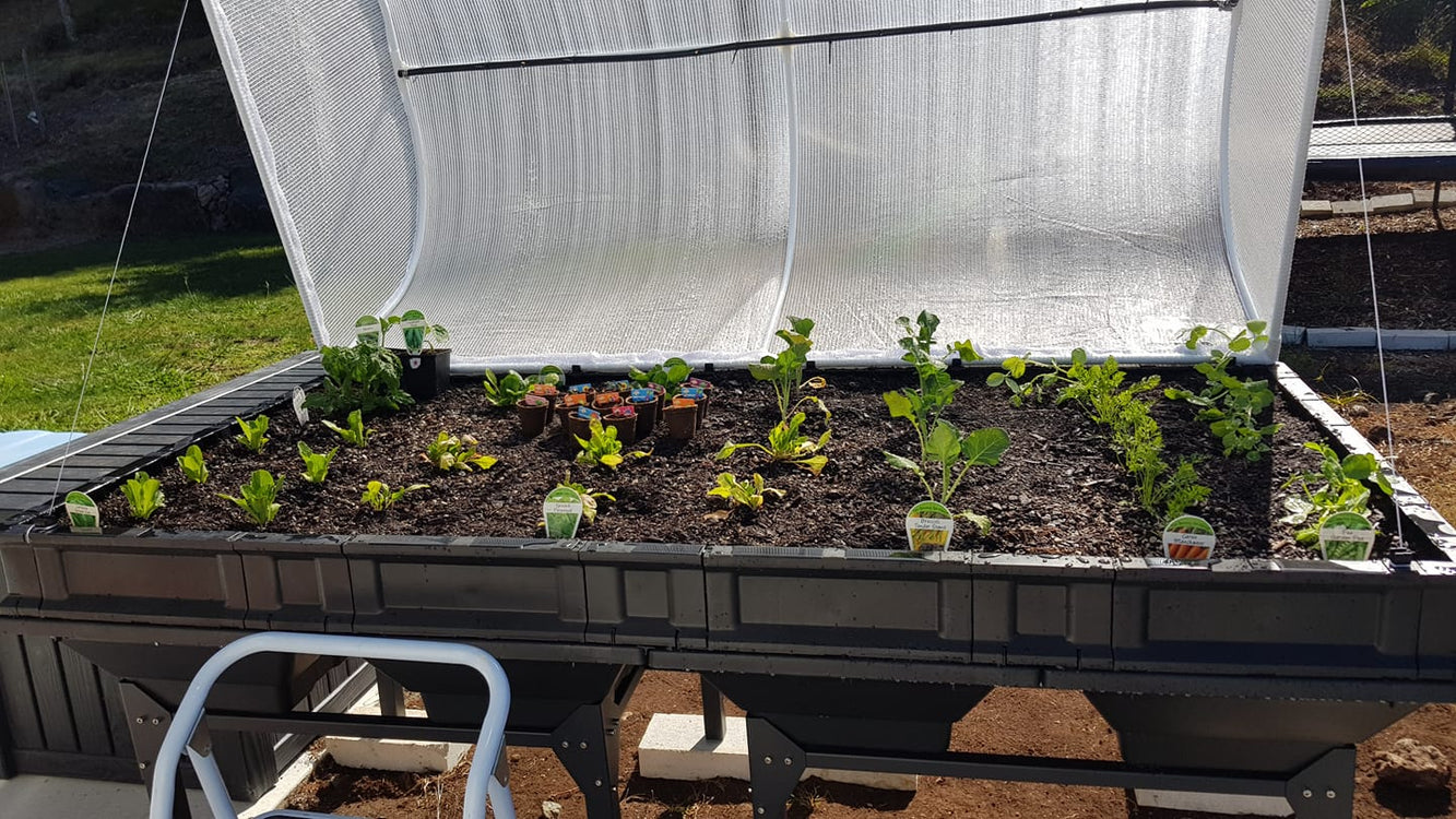 Planting your Vegepod for the First Time