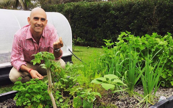 What to Plant In Early Spring