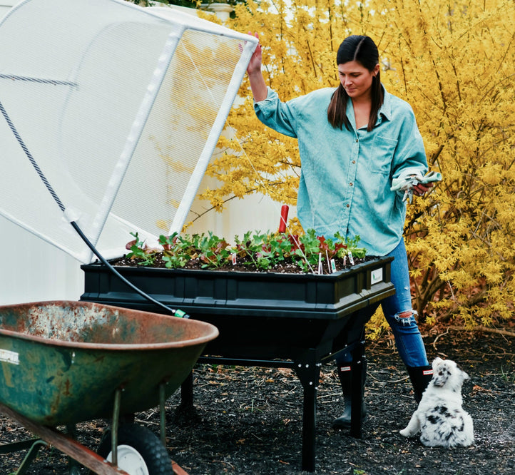 What to Plant - Autumn Edition