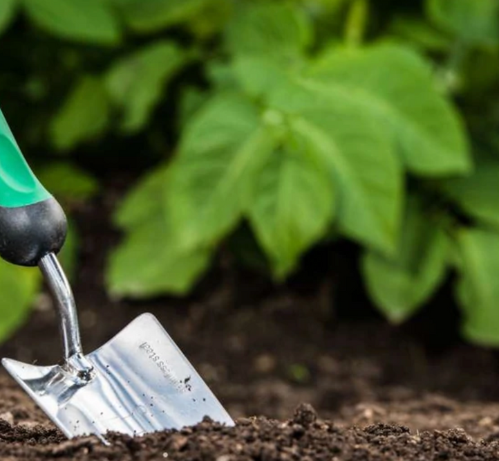 How Different Soils Can Affect How You Grow Your Plants and Vegetables