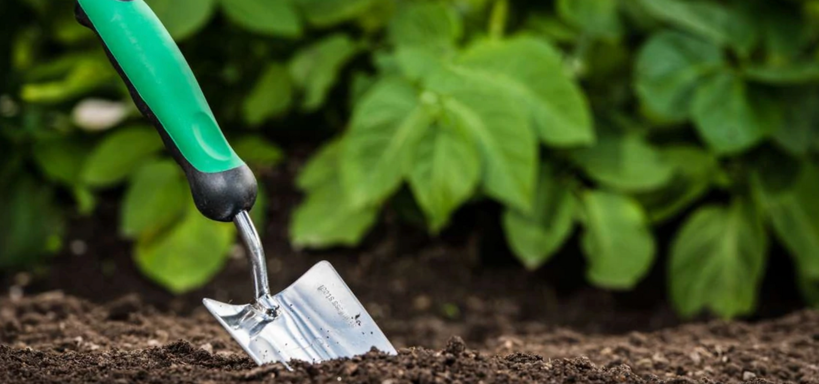 How Different Soils Can Affect How You Grow Your Plants and Vegetables
