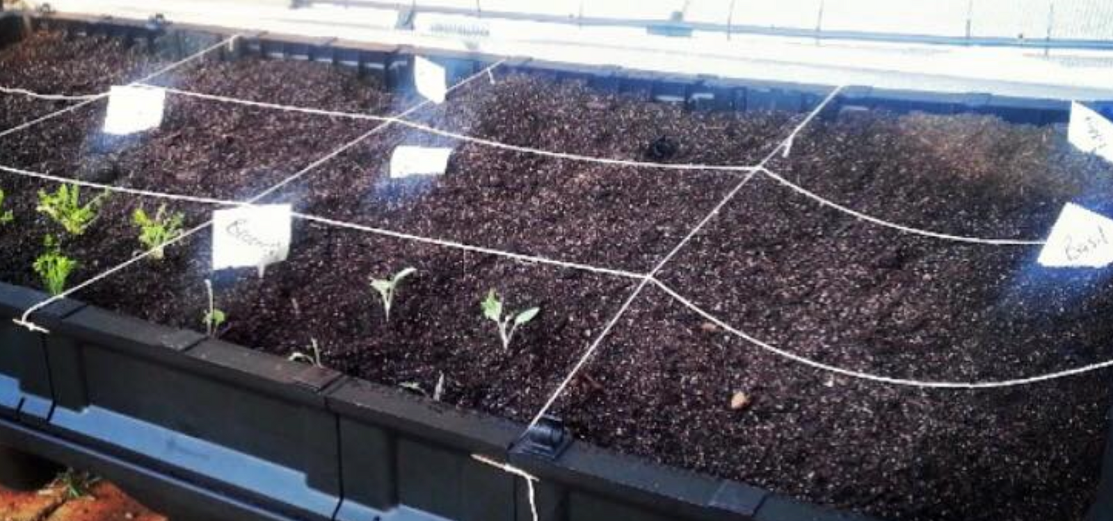 How To Build A ‘Square Foot Garden’ In The Vegepod
