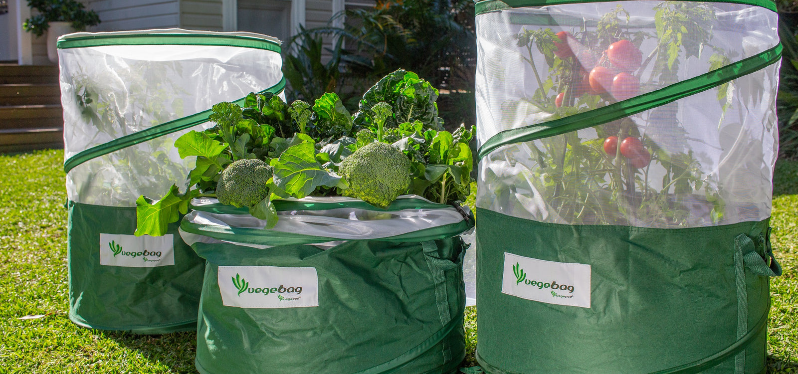 New & Improved Vegebag