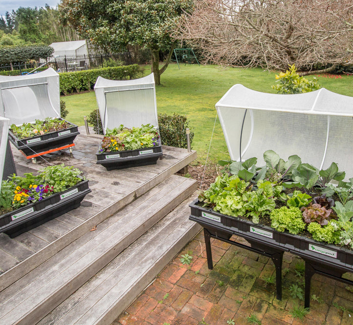 Autumn - What to sow, grow and harvest in September