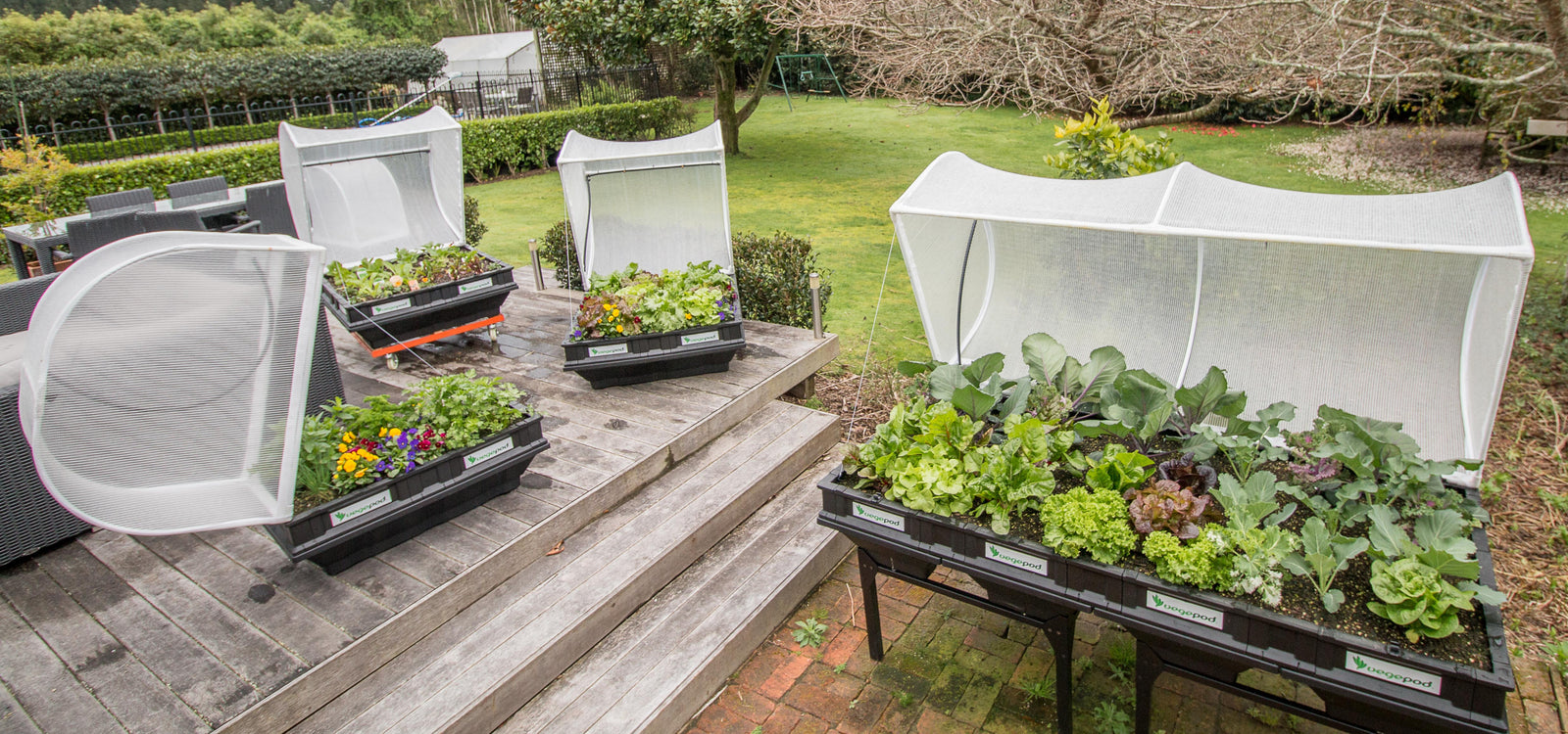 Autumn - What to sow, grow and harvest in September