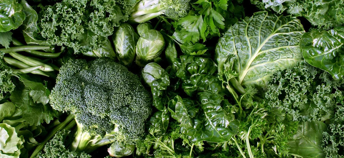 Winter Warmers: The Top Vegetables to Grow in Your Vegepod (and What to Cook with Them)