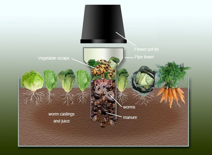 Ask Angus: How to Build A Worm Tower In the Vegepod!