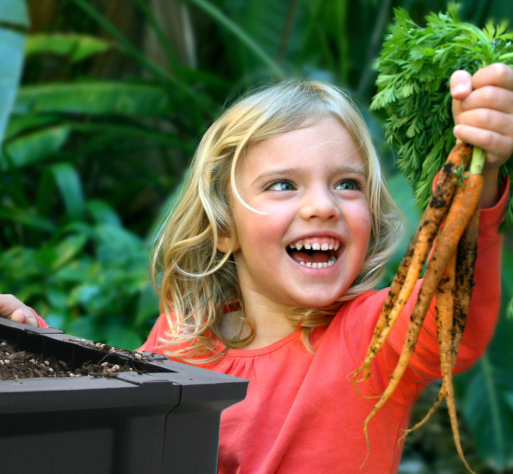 Getting to know your Vegepod in 60 seconds!