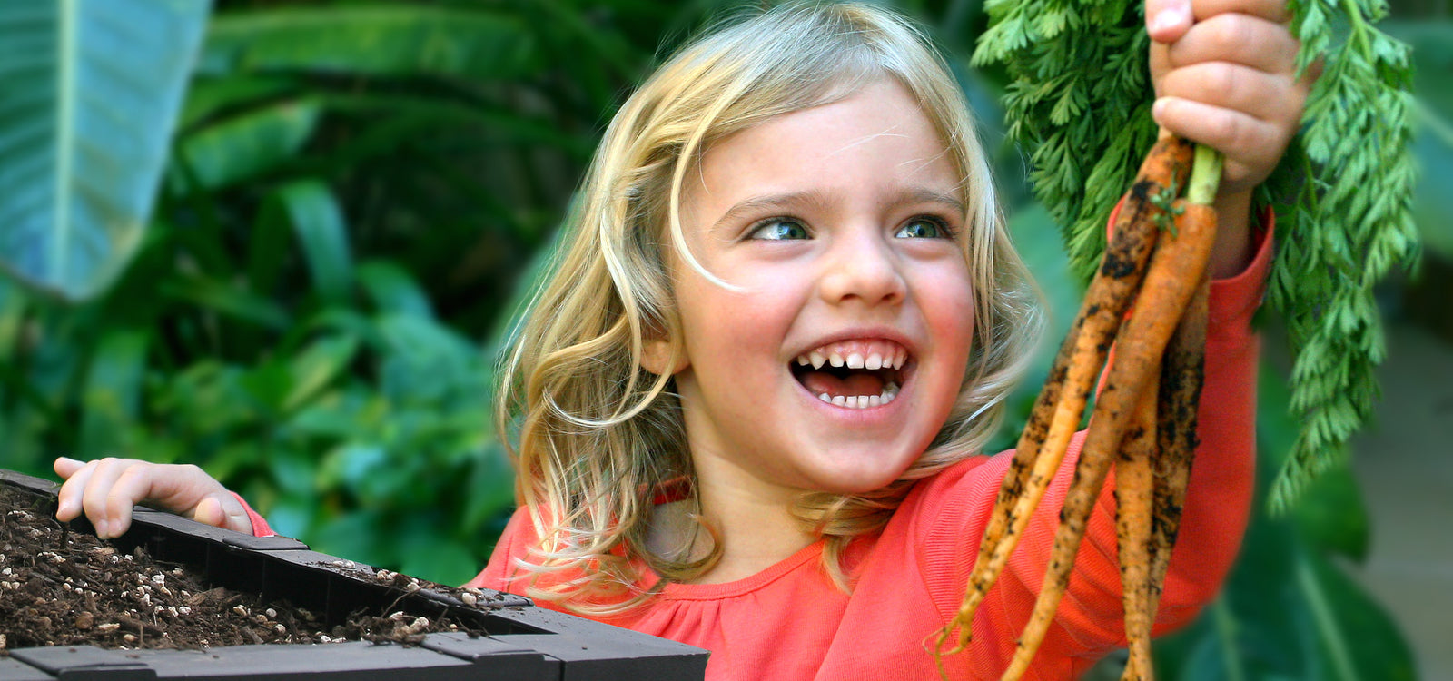 Getting to know your Vegepod in 60 seconds!