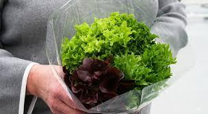 A message to our customers and friends of Vegepod