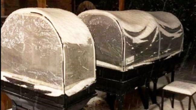 Predicted Cold-Snap & What to DO?