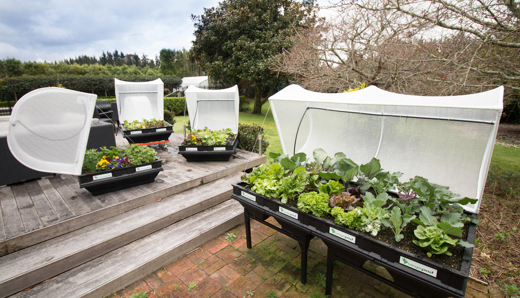 Vegepod Raised Garden Beds
