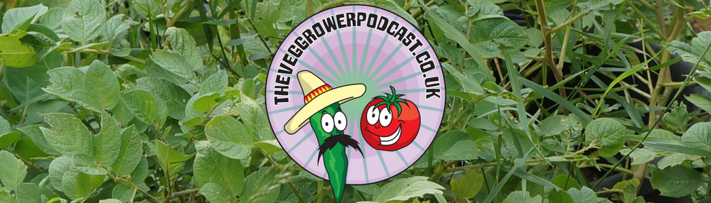 The Veg Grower discusses Vegepod with Ellen Mary and Skinny Jean Gardener
