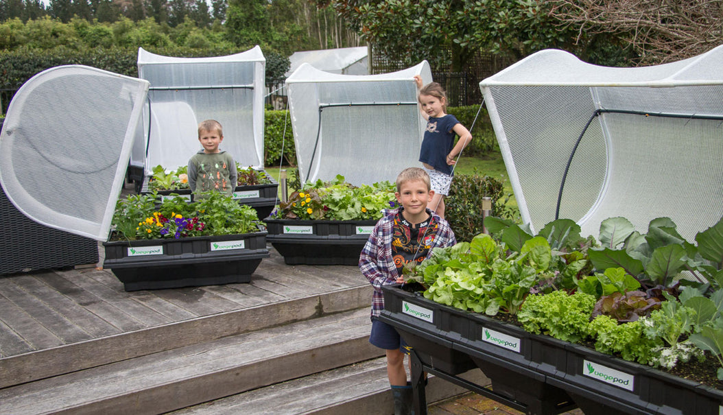 Vegepod Stands, Covers & Trolleys