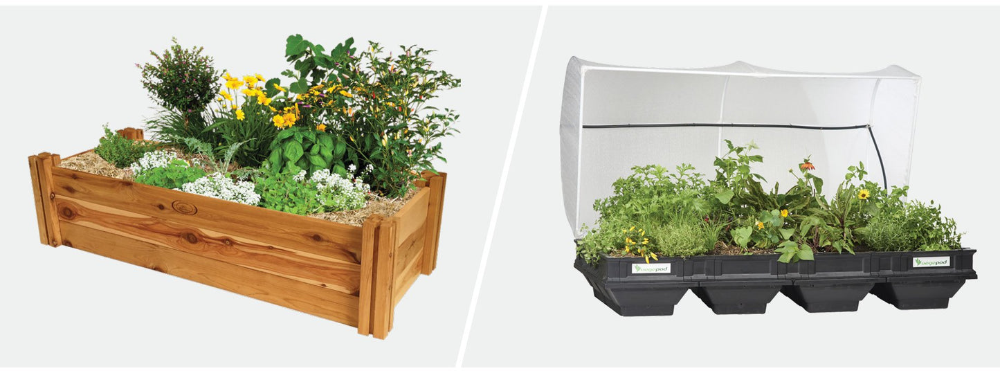 Raised Garden Bed Or Vegepod?