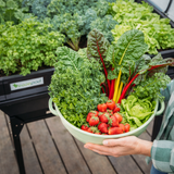 Medium Raised Garden Bed with Canopy
