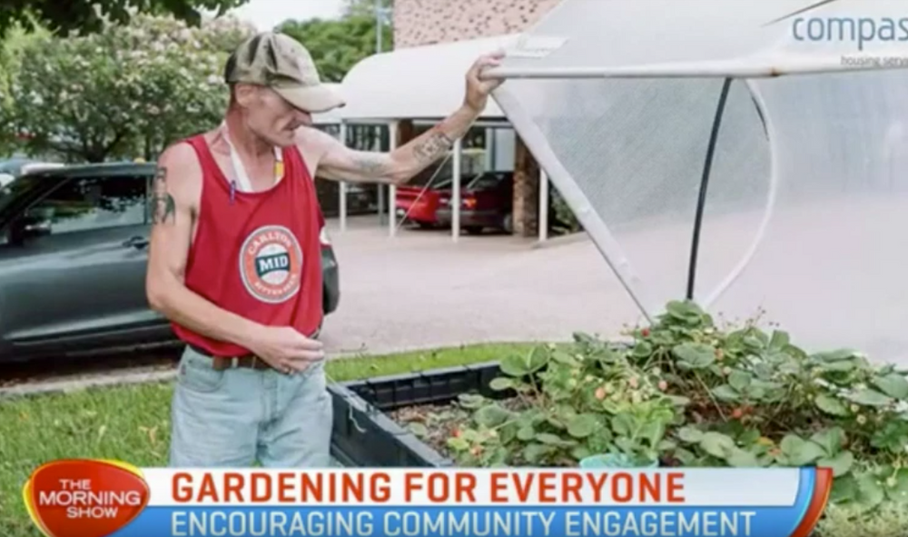 Channel 7's morning show segment with Vegepod Community Programs. HomeGrown, GrowAbility and SeniorGrow.
