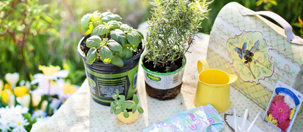 Green fingers and healthy: the benefits of gardening