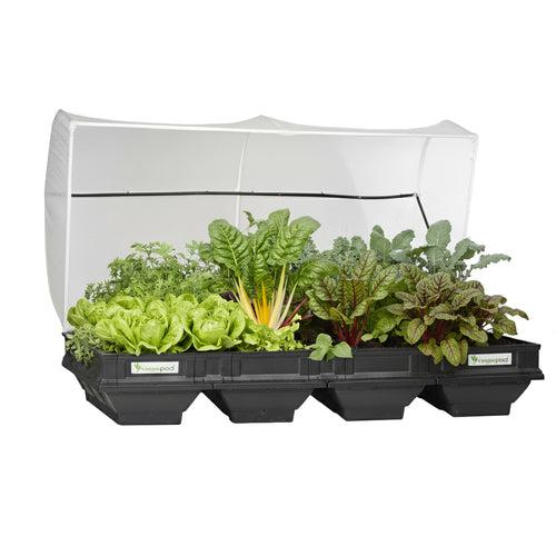 Large Raised Garden Bed with Canopy