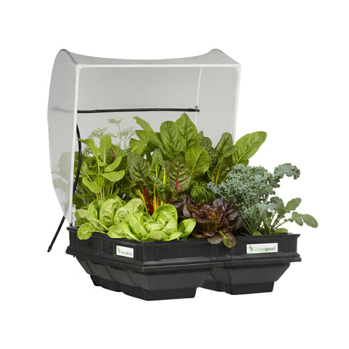 Medium Raised Garden Bed with Canopy