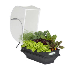 Small Raised Garden Bed with Canopy