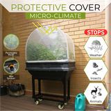 Small Raised Garden Bed with Canopy