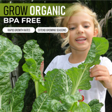 Small Raised Garden Bed with Canopy