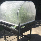 Medium PolyTunnel Cover