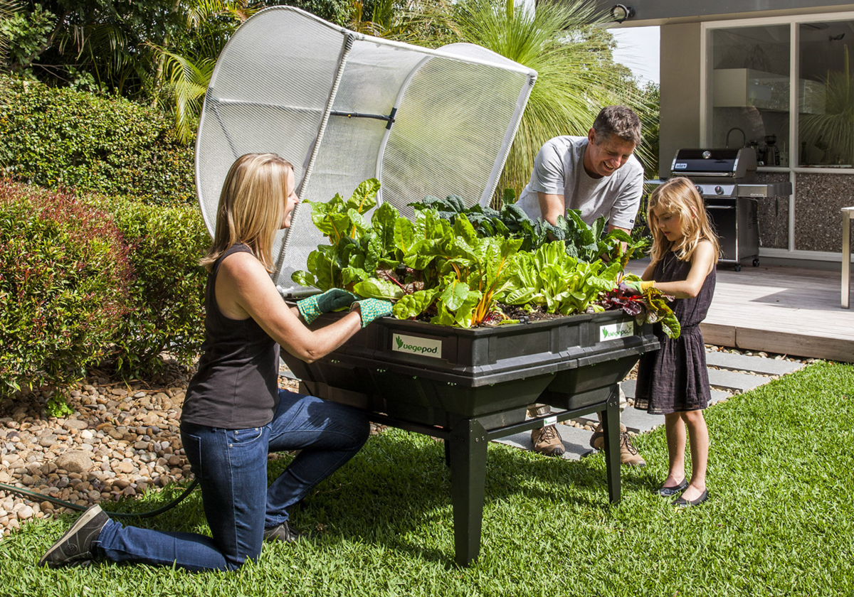 Medium Raised Garden Bed with Canopy