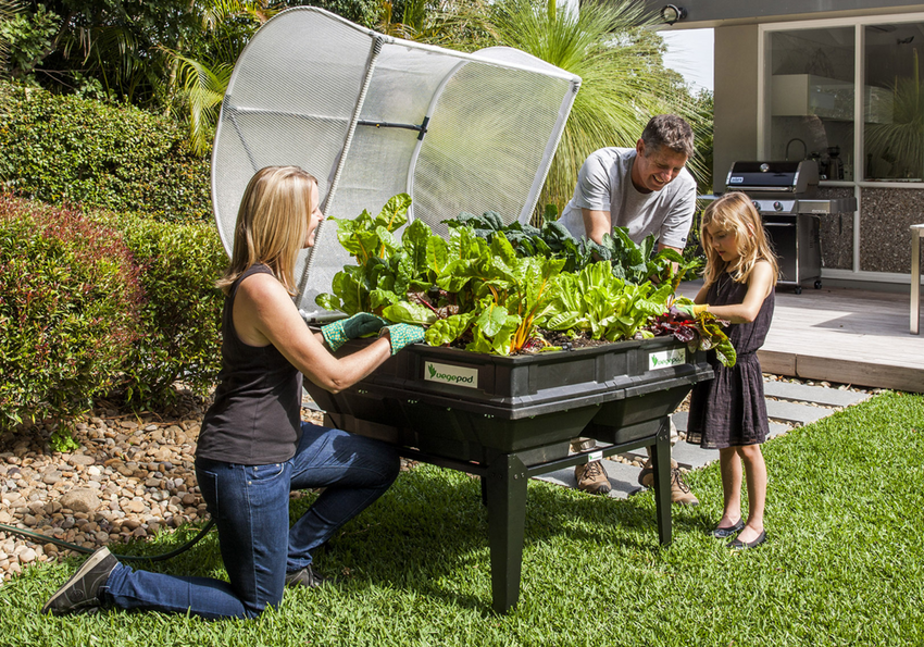 Image of Vegepod raised garden bed with misting system